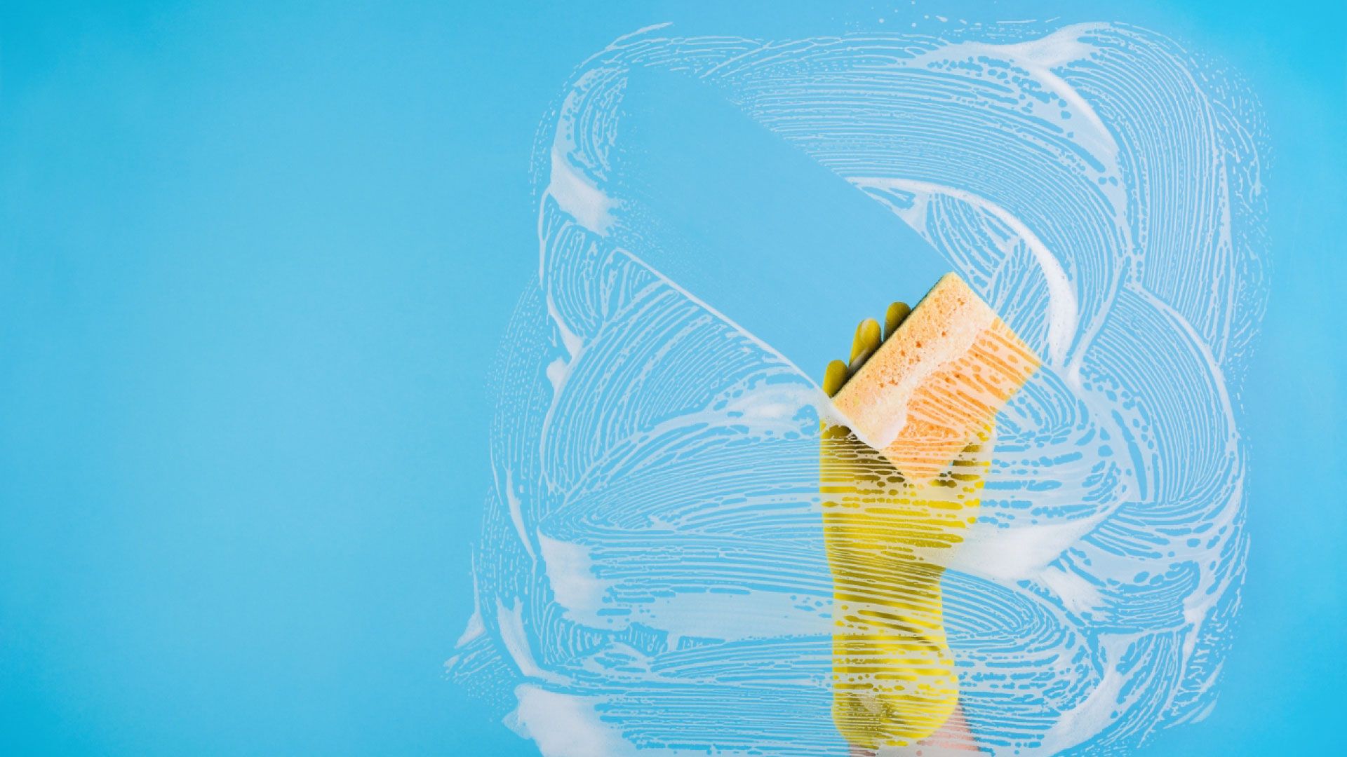 Main-Rein Reinigungsfirma Würzburg Fensterreinigung